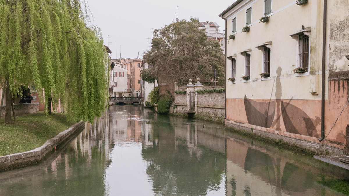 Visita guidata di Treviso e i suoi artisti