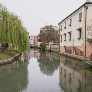 Visita guidata di Treviso e i suoi artisti